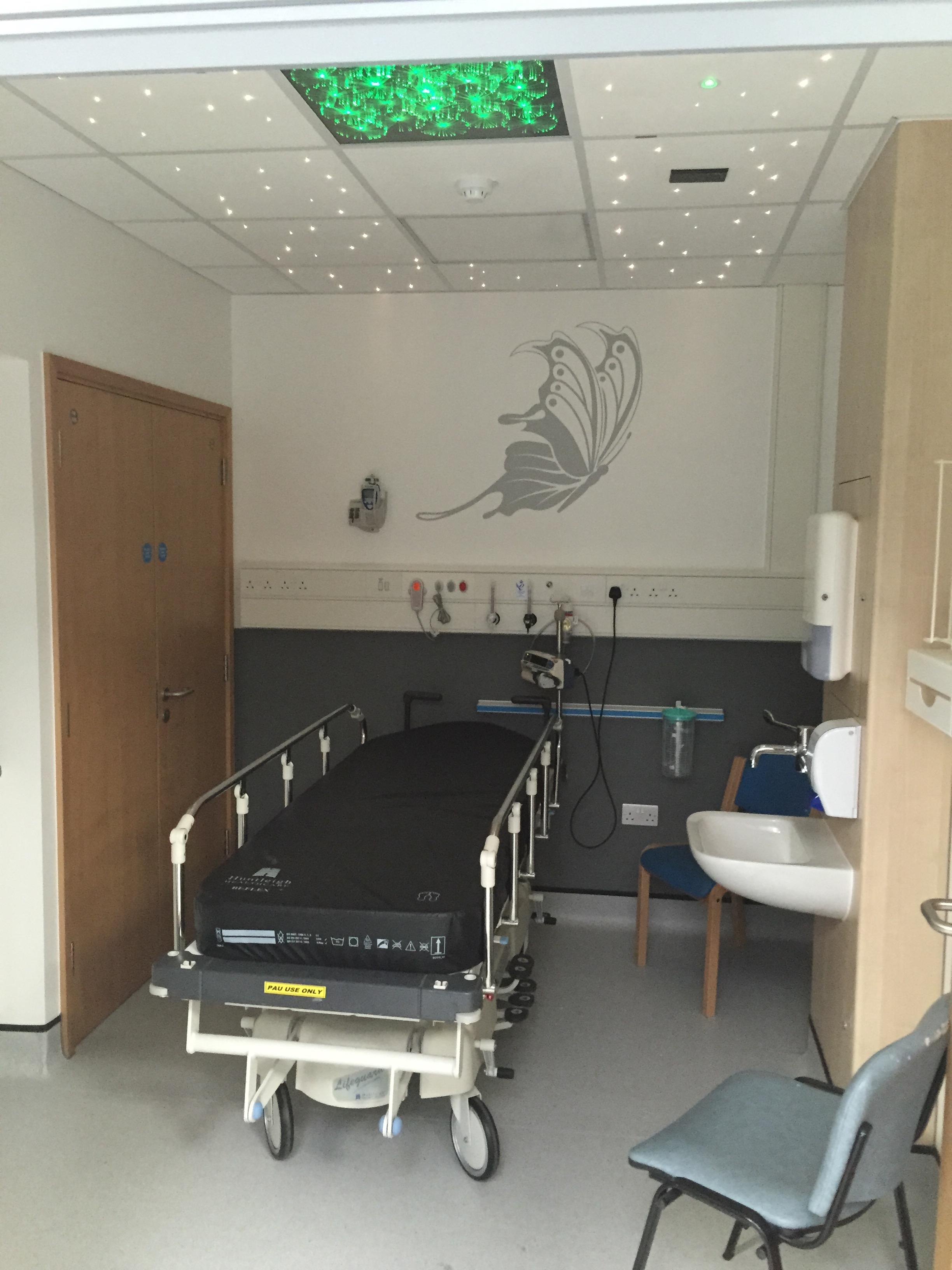 Fiesta Ceiling Panel - Image 5