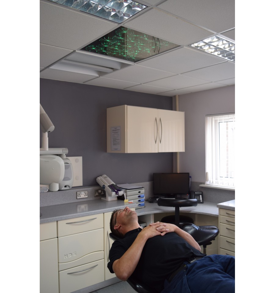 Fiesta Ceiling Panel - Image 6