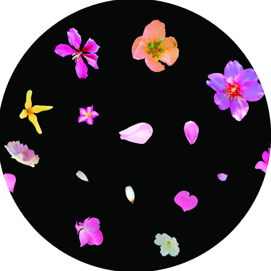 Magnetic Sensory LED Projector - Image 14