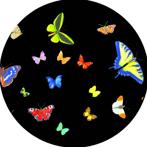 Magnetic Sensory LED Projector - Image 13