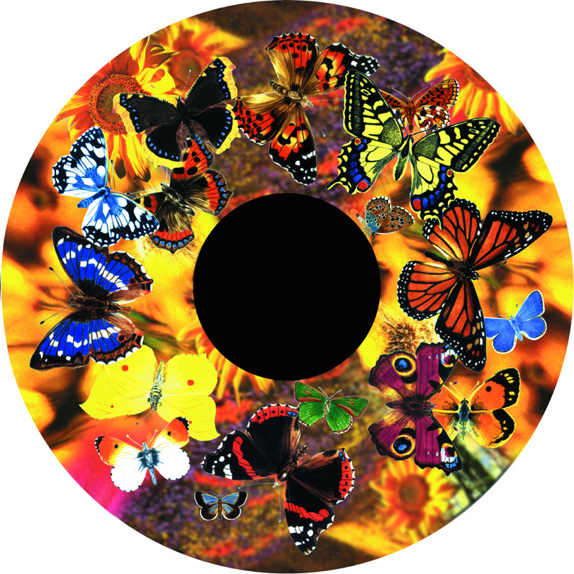 6" Wheels for LED Projector - Image 14