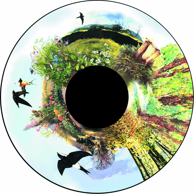 6" Wheels for LED Projector - Image 26