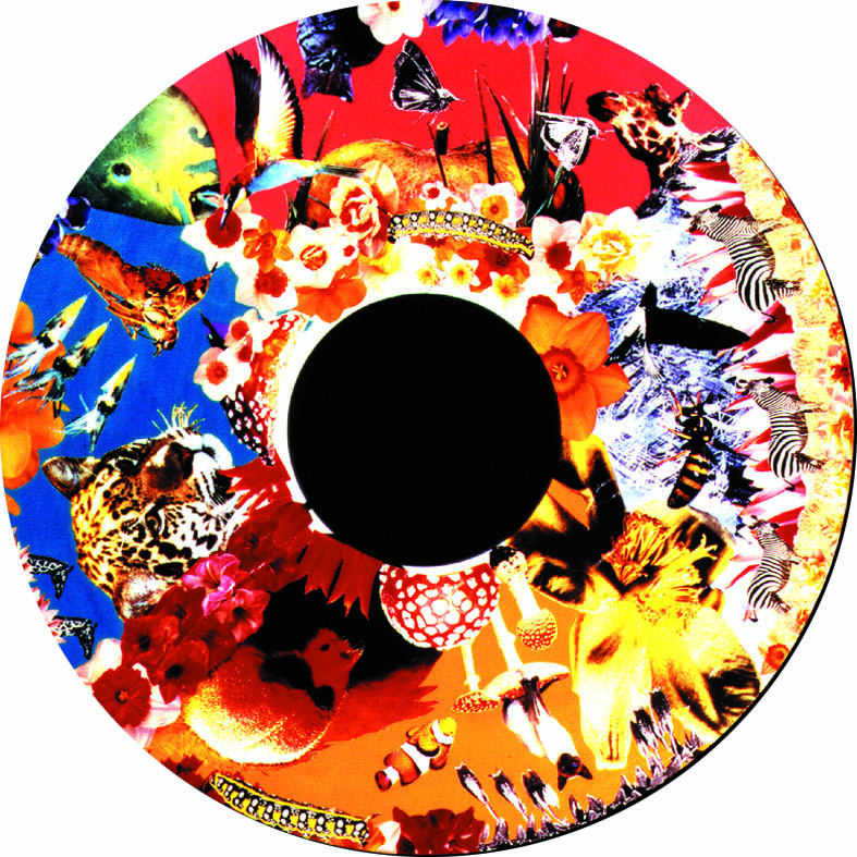 6" Wheels for LED Projector - Image 34