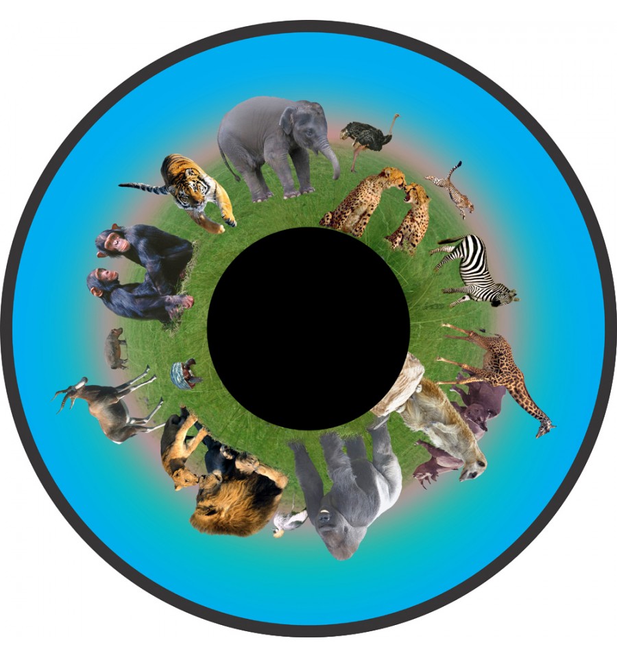 6" Wheels for LED Projector - Image 7