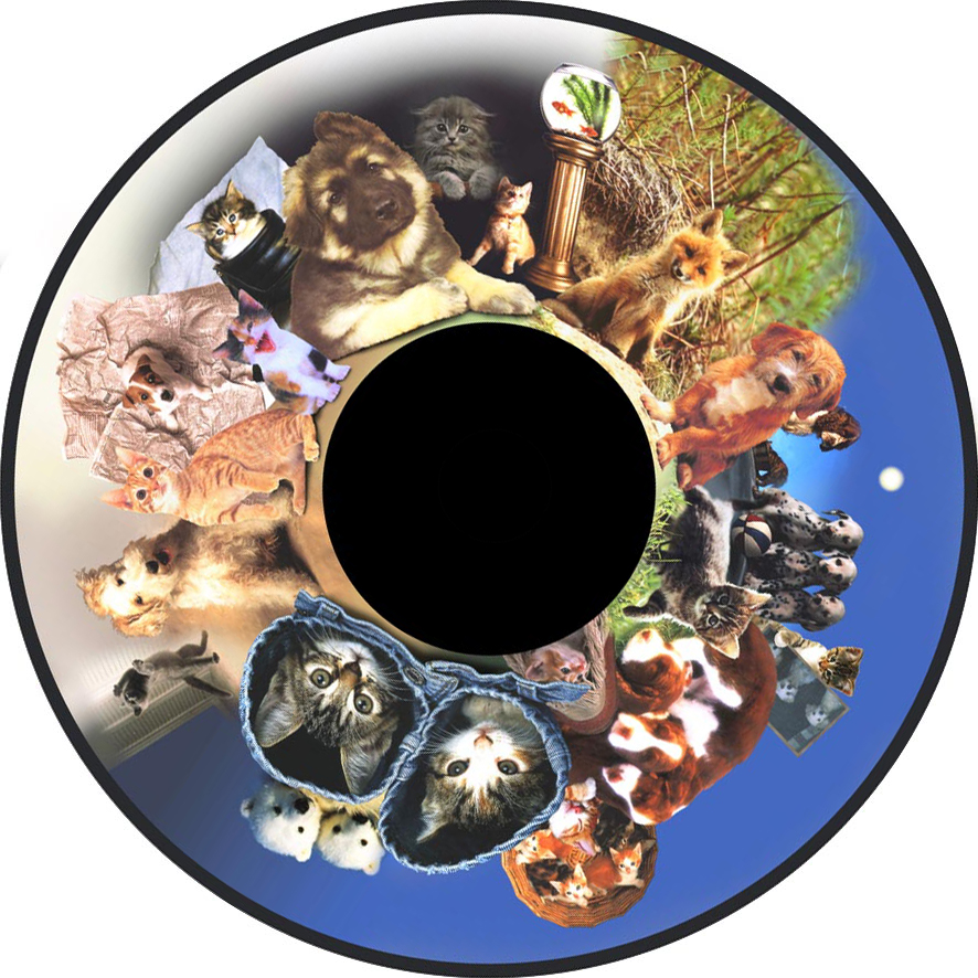 6" Wheels for LED Projector - Image 22