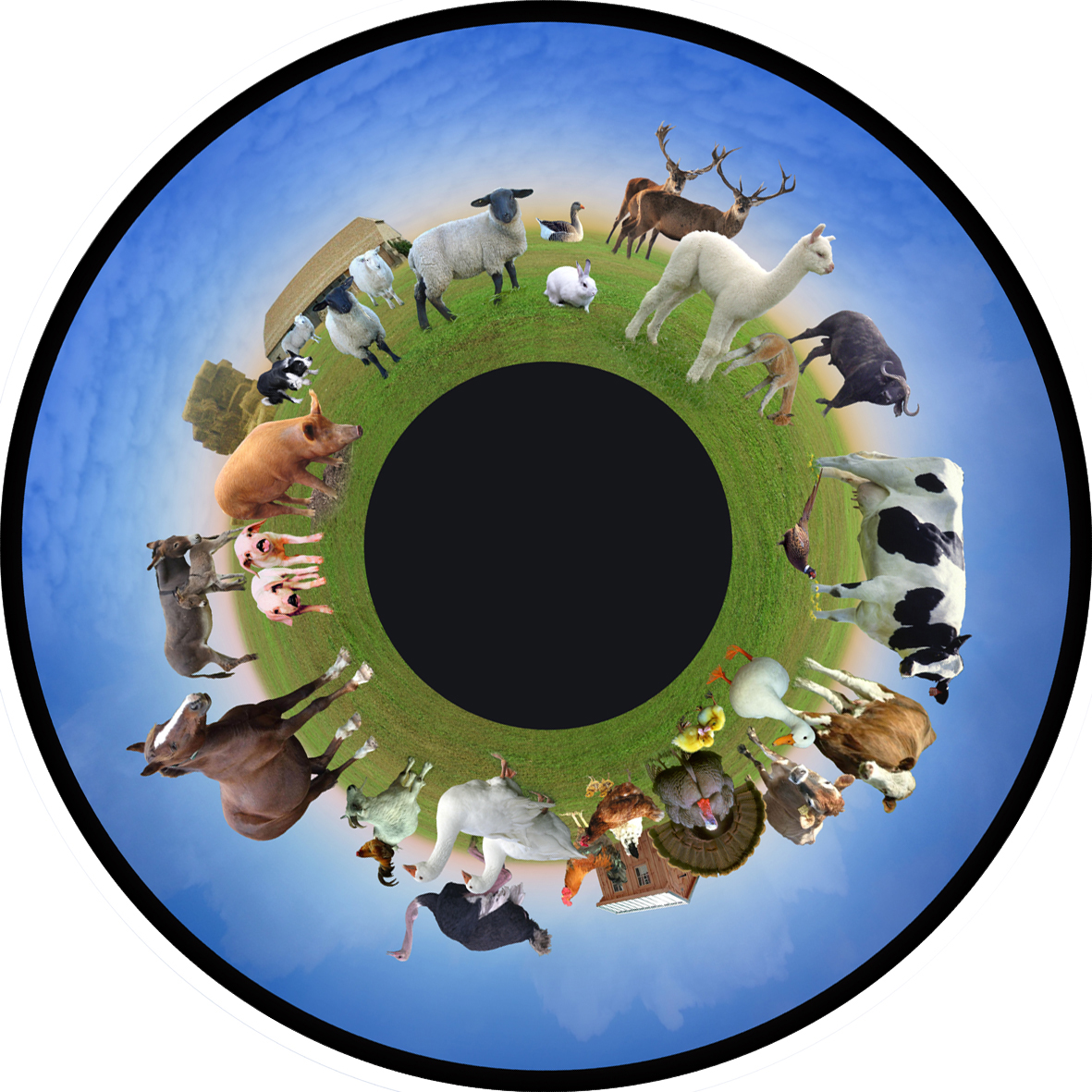 6" Wheels for LED Projector - Image 18