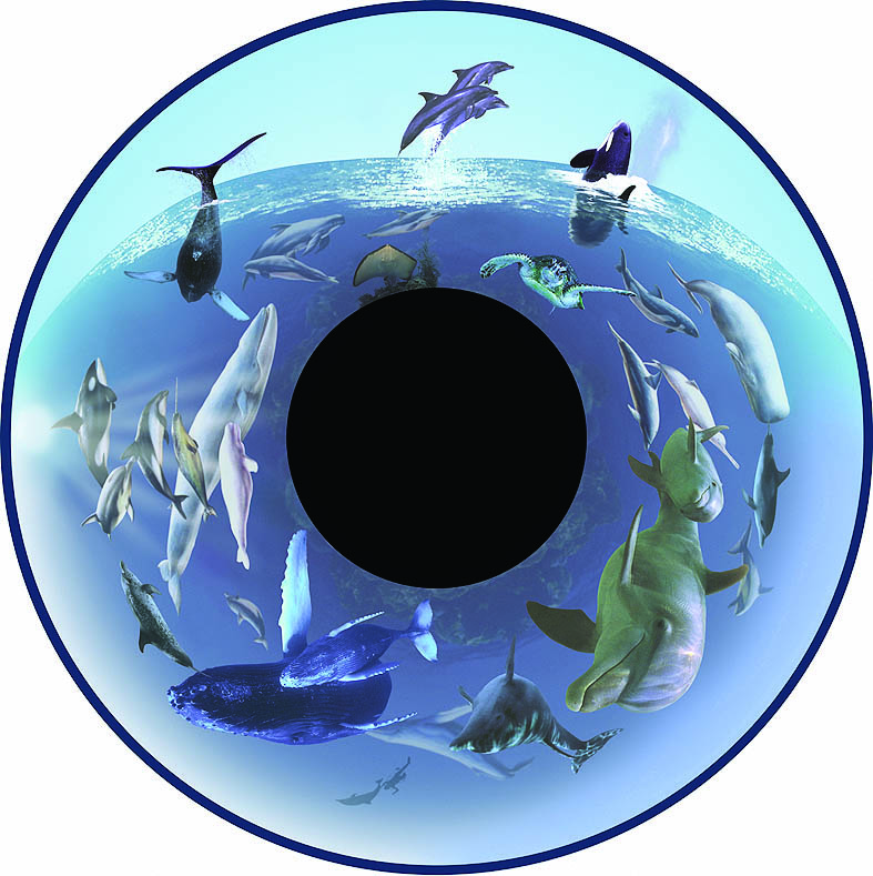 6" Wheels for LED Projector - Image 45