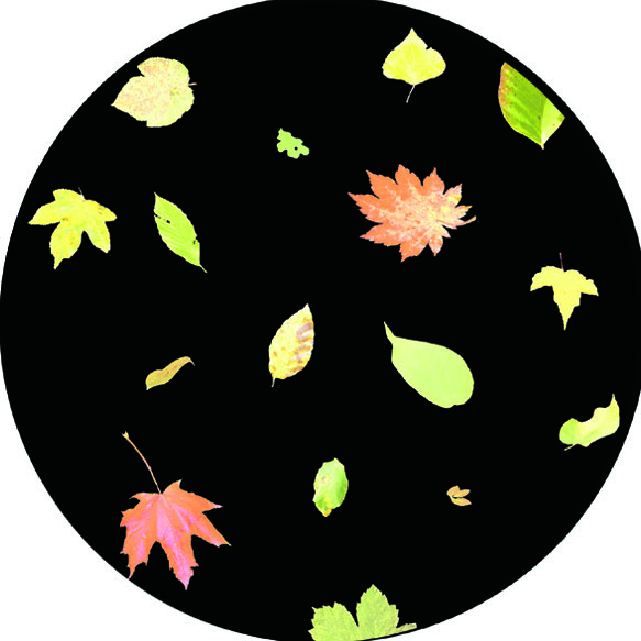 6" Wheels for LED Projector - Image 28