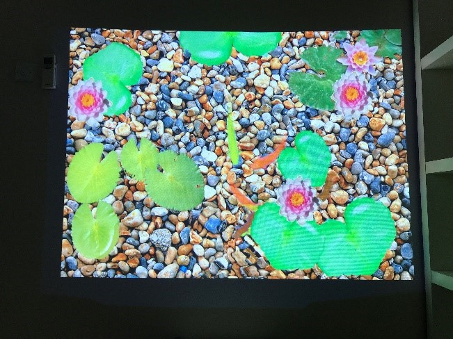 Super Play Plus Interactive Floor - Image 5