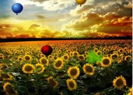 Super Mini Play Interactive Floor - Image 4